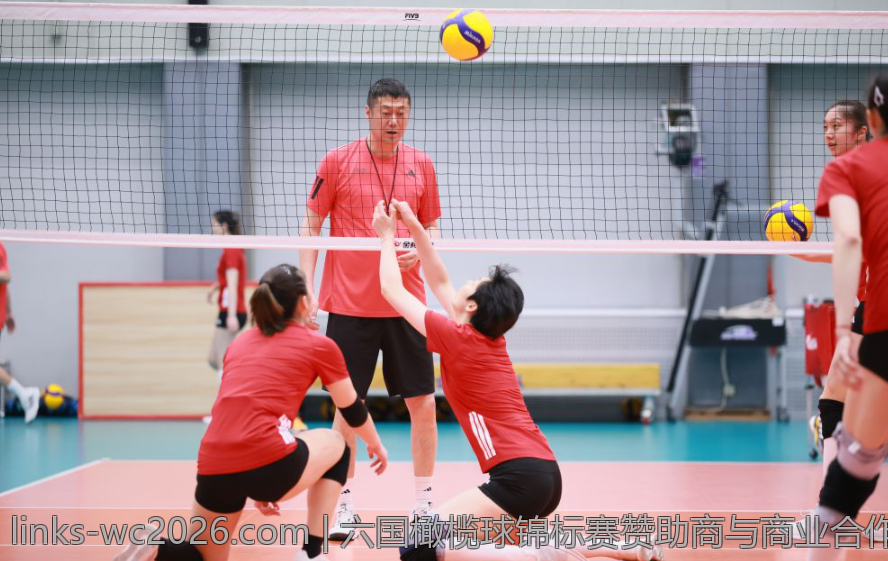 六国橄榄球锦标赛赞助商与商业合作