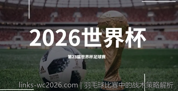 羽毛球比赛中的战术策略解析
