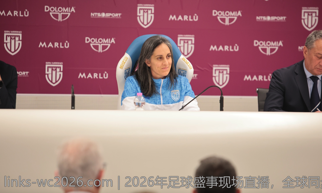 2026年足球盛事现场直播，全球同步精彩纷呈